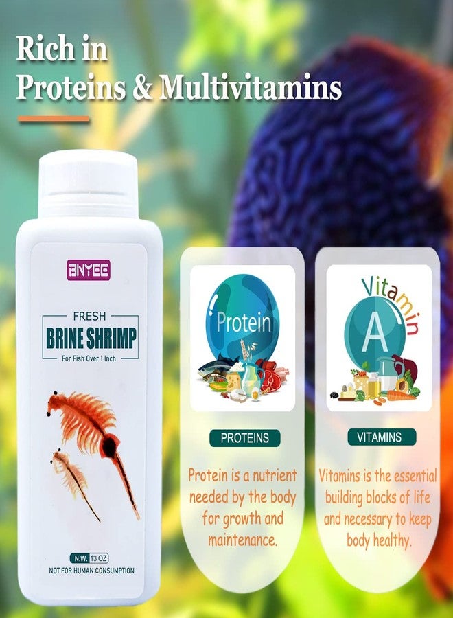 BNYEE Fresh Brine Shrimp Fish Food - Adult Non-Living Shrimp for Fish Over 1 Inch - Image 3